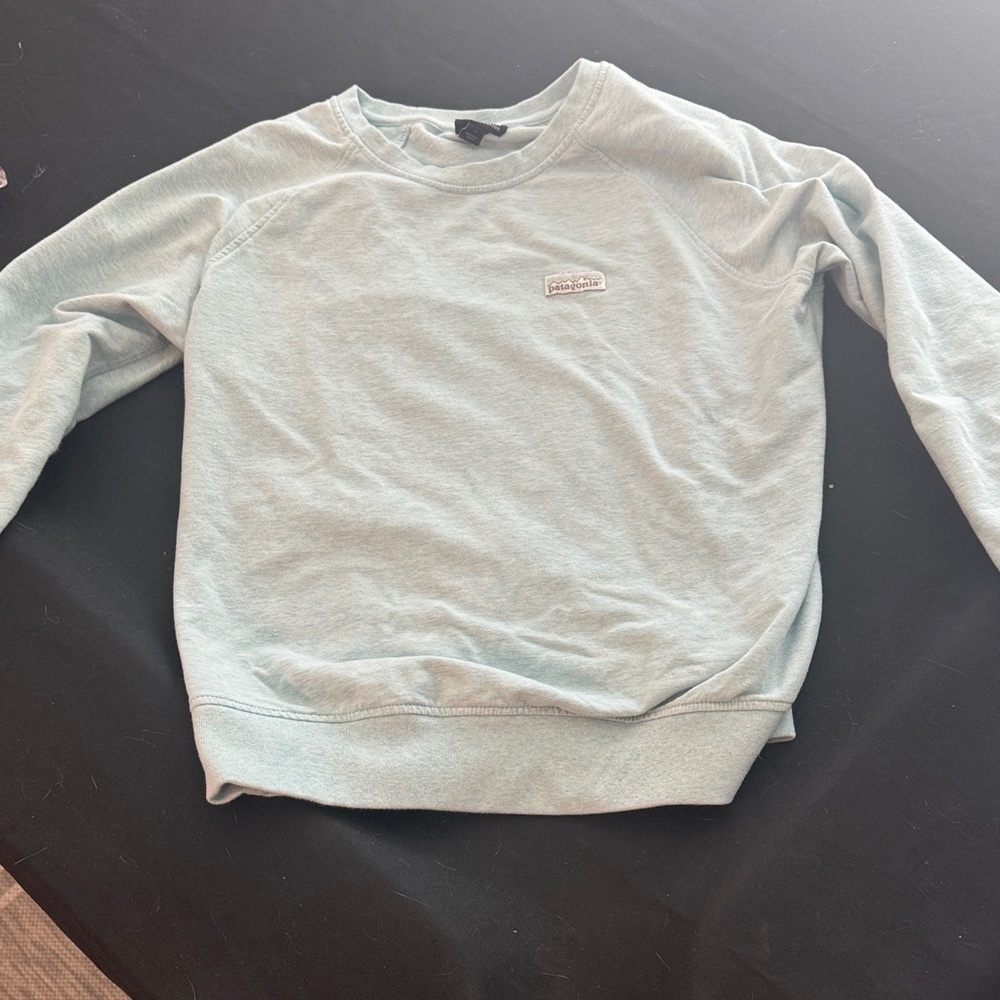 Patagonia Sky Blue Crewneck Sweatshirt